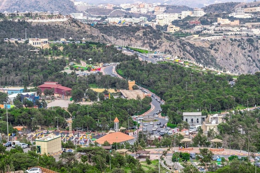 تسعون غابة تتوزع على كافة محافظات وجبال منطقة الباحة