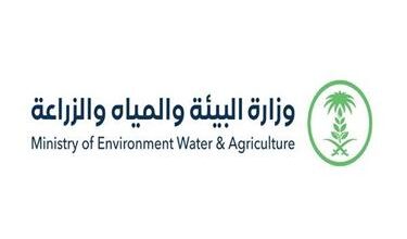 1652730730 البيئة تصدر بيانًا بشأن حقيقة الوظائف البيطرية لحملة الماجستير والدكتوراه