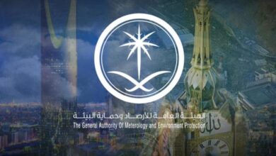 afQe3Lmo