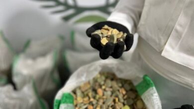 إحباط محاولة تهريب 403000 قرص إمفيتامين بجدة