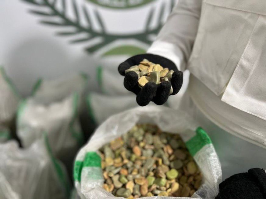 إحباط محاولة تهريب (403,000) قرص إمفيتامين بجدة 1 إحباط محاولة تهريب 403000 قرص إمفيتامين بجدة