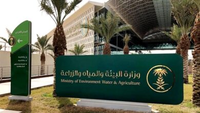 1655383395 البيئة توفر 150 وظيفة حكومية للمواطنين بمختلف التخصصات