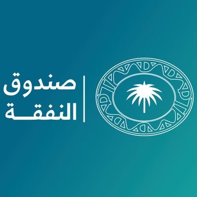 هل يقدم خدماته للمرأة فقط؟.. «صندوق النفقة» يجيب عن 5 أسئلة 1 d8 X g