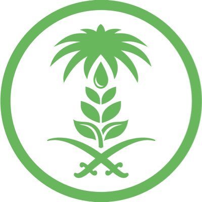 “البيئة” تعلن وصول مليون رأس من الماشية للهدي والأضاحي عبر ميناء جدة 1