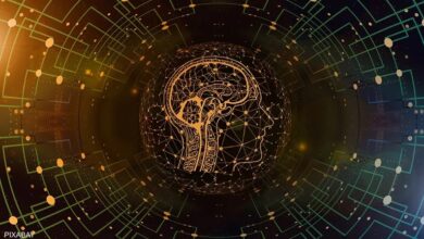 الروبوت "لامدا" تم تطويره لإجراء محادثات فورية