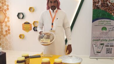 محمد