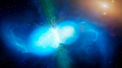 WhatsApp Image 2022 08 06 at 12.26.11 PM