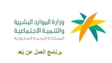 وظائف شاغرة عبر برنامج العمل عن بعد