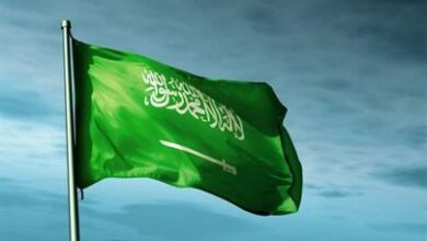 مهلة 90 يوماً لمزاولي النشاط لتعديل أوضاعهم تفاصيل ومستهدفات نظام