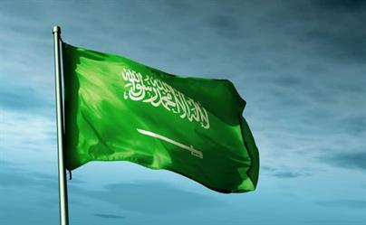 مهلة 90 يوماً لمزاولي النشاط لتعديل أوضاعهم تفاصيل ومستهدفات نظام