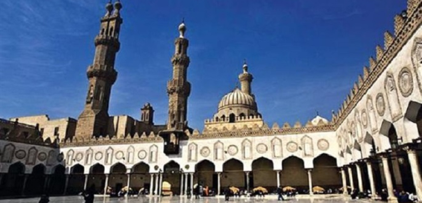 عههعهعهعهع