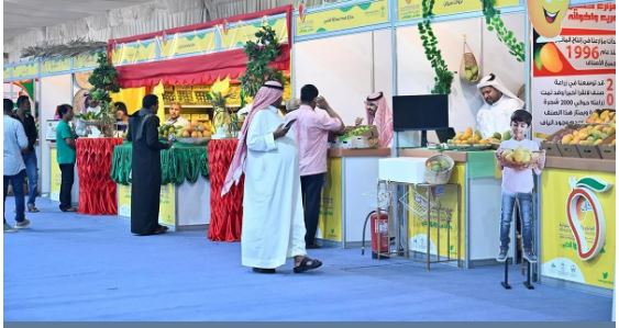 40 ألف زائر لمهرجان المانجو بصبيا 1 قثثثثثثثثثثثثثثثثث