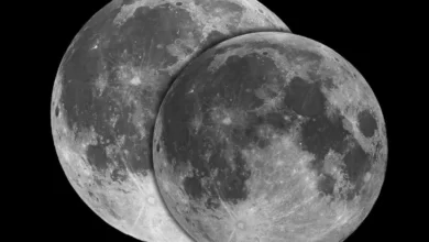 c9974bc1 df7a 4f51 804d c5a45d0c20b7 16x9 1200x676