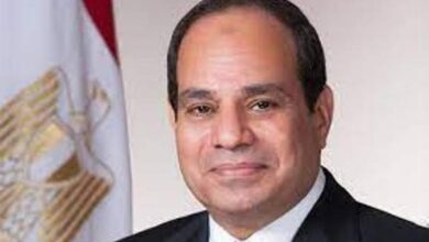 ددددددددددددددد