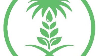 غعغعغع 2