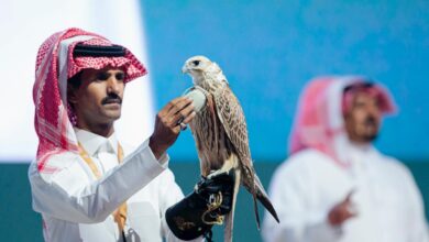 صقر