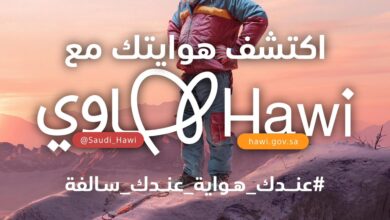 فقققققققققق
