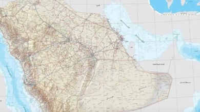 التقاط 12