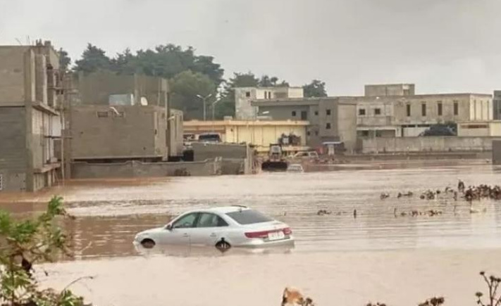 شسشسشسشس