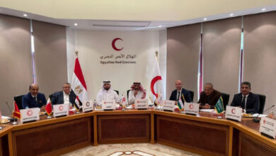 التقاط 13