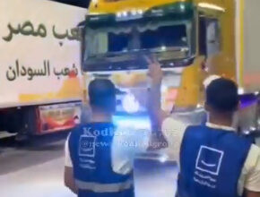 التقاط 19