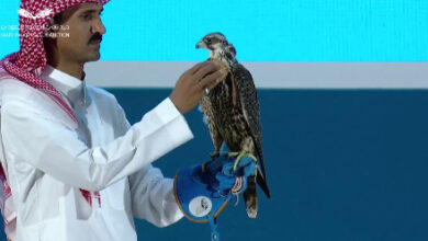 التقاط 34