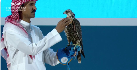 مبيعات مزاد نادي الصقور السعودي تتجاوز حاجز الـ 3 ملايين ريال في الليلة الـ 17 1 التقاط 34
