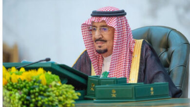 التقاط 14