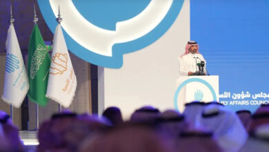 التقاط 28