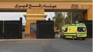 التقاط 41