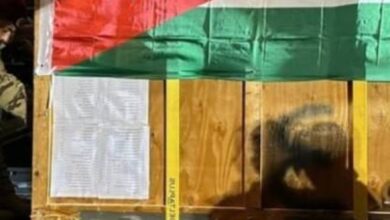 سلاح الجو الأردني ينفذ عملية إنزال في غزة
