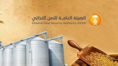 quotمناقصةquot لاستيراد 715 ألف طن قمح