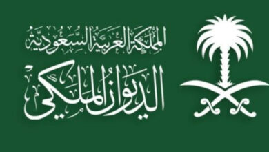 التقاط 19