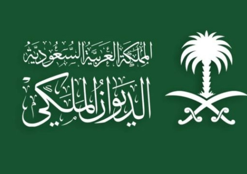 التقاط 19