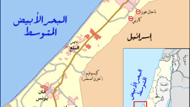 التقاط 35