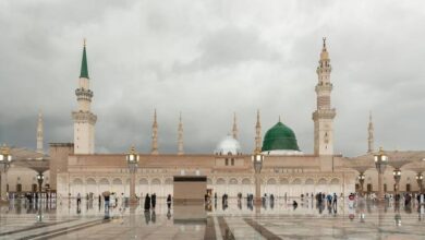 الحج والعمرة إتاحة زيارة الروضة الشريفة بعد 365 يوماً من