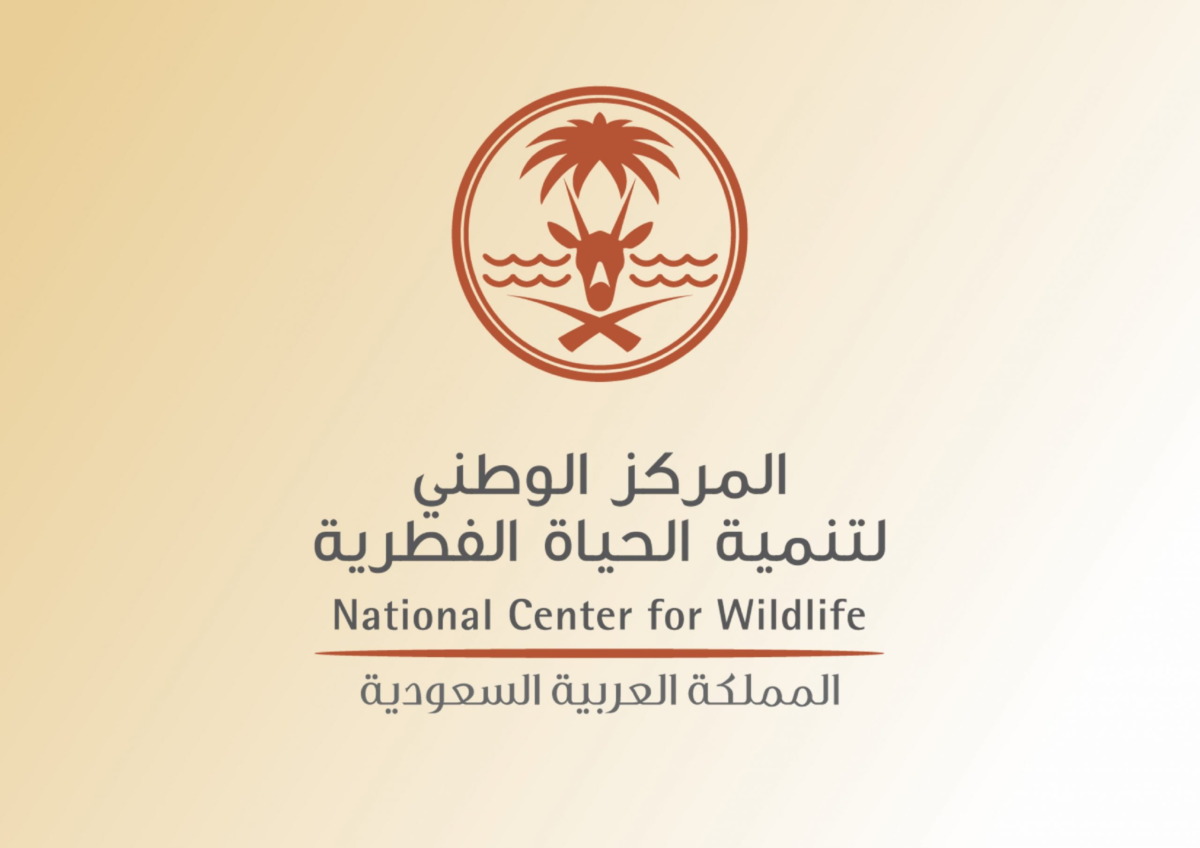 المركز الوطني لتنمية الحياة الفطرية يسجل أول توثيق لحيوان “الزبابة الظفارية” 1 الحياة الفطرية تستهل موسم الاطلاقات بـ 85 كائنًا فطريًا في