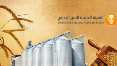 الهيئة العامة للأمن الغذائي ترسي الدفعة الرابعة من القمح المستورد