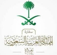تنزيل 3