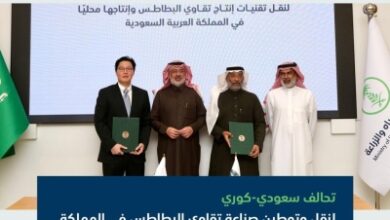 quotتوطينquot تقنيات إنتاج quotتقاويquot البطاطس