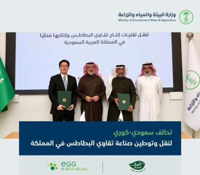 quotتوطينquot تقنيات إنتاج quotتقاويquot البطاطس