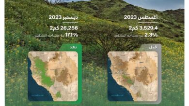 صورة واتساب بتاريخ 2024 01 05 في 16.49.05 ff5812c1