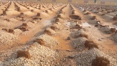 منع تبليط quotالمقابرquot وطلائها والكتابة عليها وتشجيرها