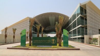 البيئة Medium