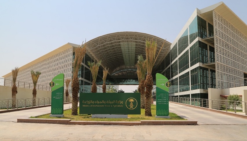 البيئة Medium