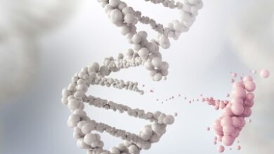 فريق بجامعة طيبة يكتشف جيناً مسؤولاً عن تشوهات المواليد