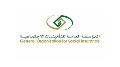 هل يحتسب عمر التقاعد بالهجري أم الميلاد؟ توضيح مهم من