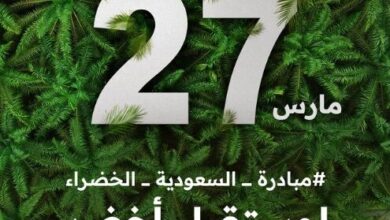 الاللالا 66044418dee2a