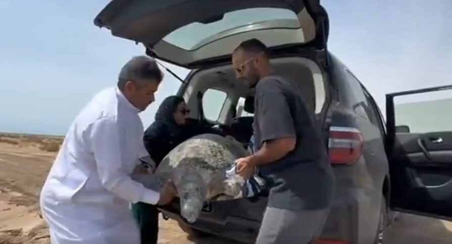 بيييييي 65f7486aa9d97