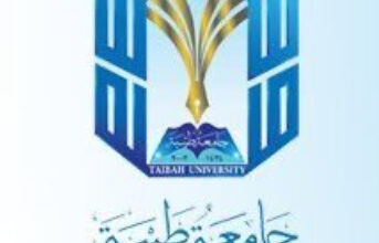 جامعة طيبة